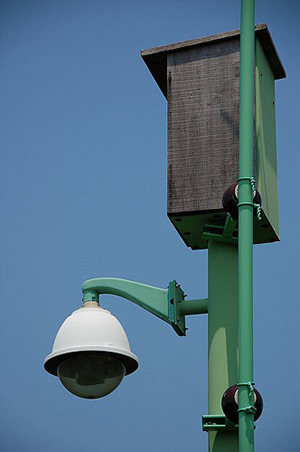 利用光纤网络，将生态即时影象透过网络发送至全世界，达到环境保护及生态保育双重目的