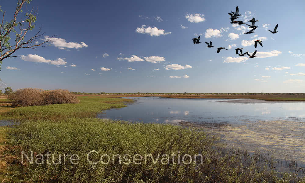 生态保育/Nature Conservation